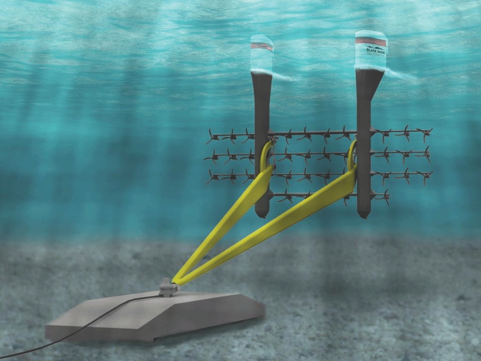 Developers Say Time Is Right For Fundy Tidal Power