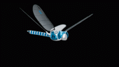 BionicOpter00001_m_Logo